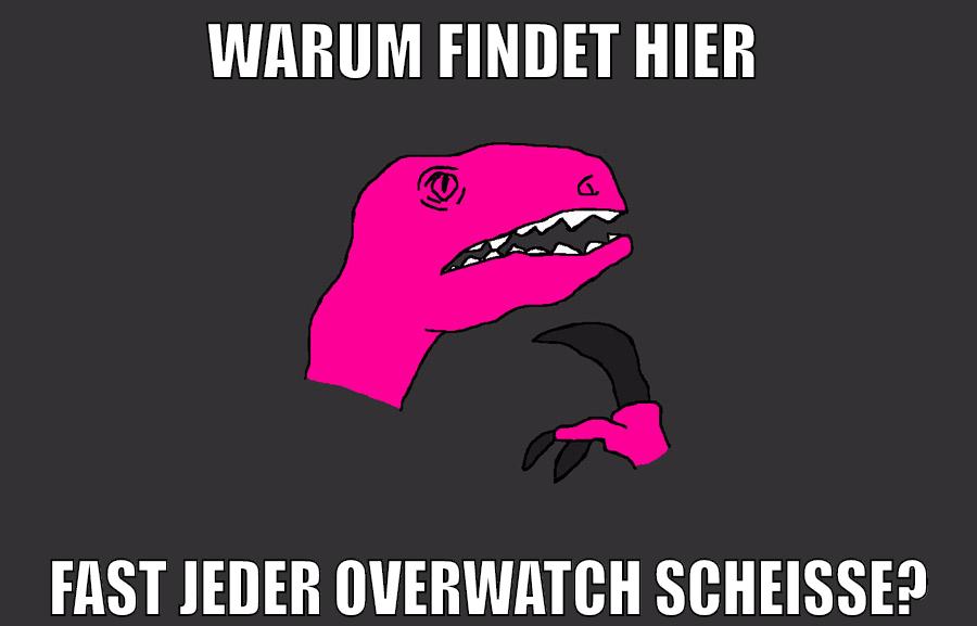 warum findet hier fast jeder overwatch scheiße?