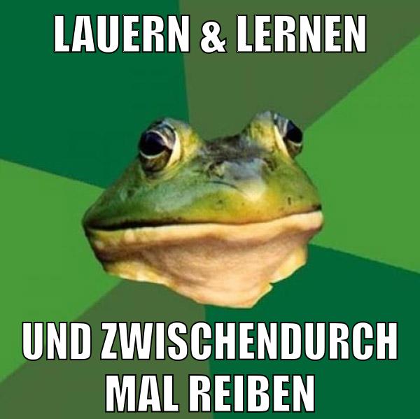 lauern & lernen und zwischendurch mal reiben
