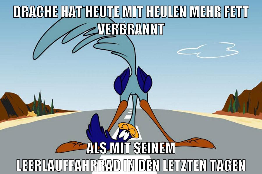 drache hat heute mit heulen mehr fett verbrannt als mit seinem leerlauffahrrad in den letzten tagen