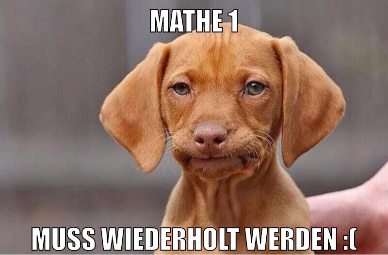 Mathe 1 muss wiederholt werden :(