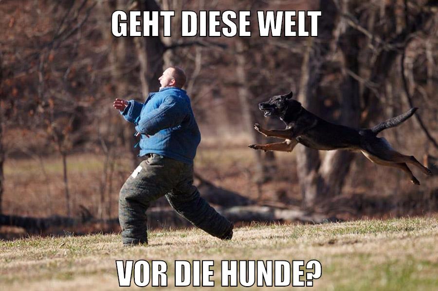 Geht diese Welt vor die Hunde?