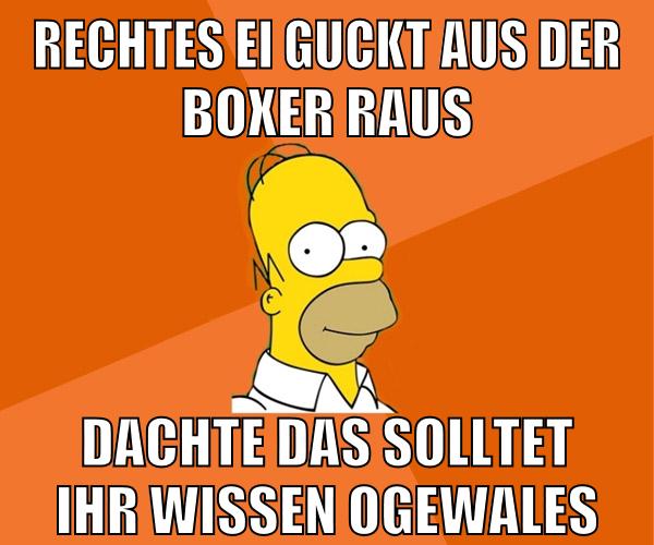 rechtes ei guckt aus der boxer raus dachte das solltet ihr wissen ogewales