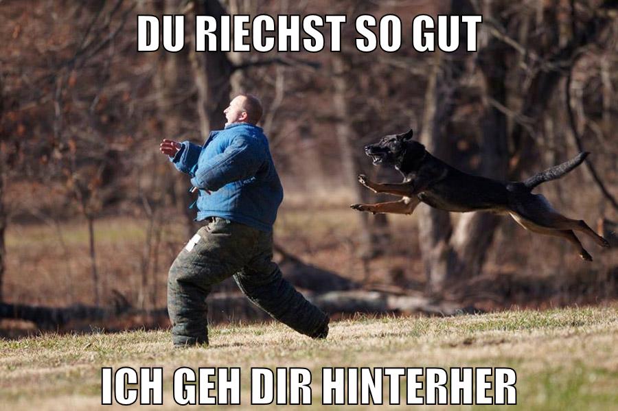 DU RIECHST SO GUT ICH GEH DIR HINTERHER