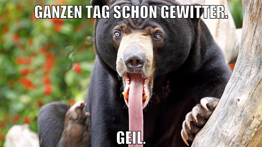Ganzen Tag schon Gewitter. Geil.