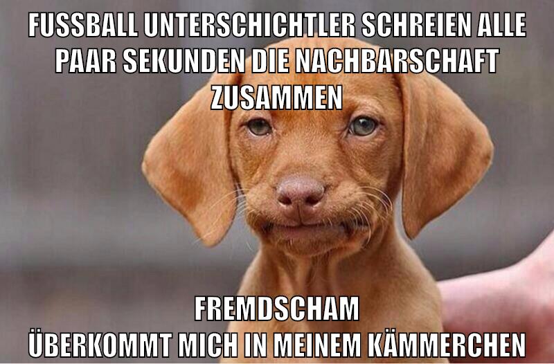fußball unterschichtler schreien alle paar sekunden die nachbarschaft zusammen fremdscham überkommt mich in meinem kämmerchen