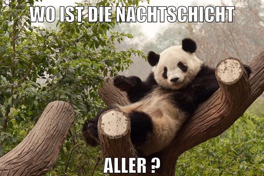 Wo ist die nachtschicht aller ?