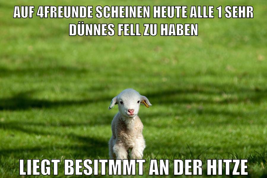 auf 4freunde scheinen heute alle 1 sehr dünnes fell zu haben liegt besitmmt an der hitze