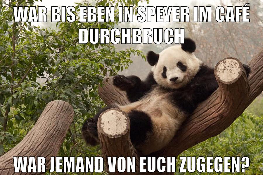 War bis eben in Speyer im Café Durchbruch War jemand von euch zugegen?