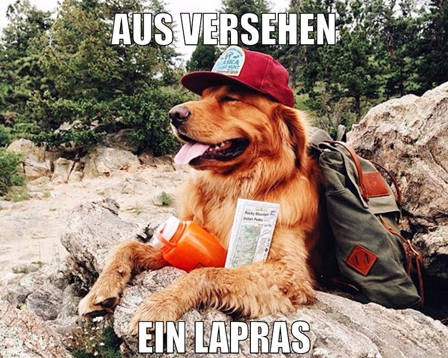 Aus versehen ein Lapras