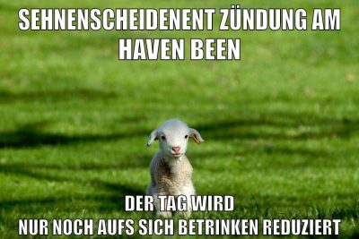sehnenscheidenentzündung am haven been der tag wird nur noch aufs sich betrinken reduziert