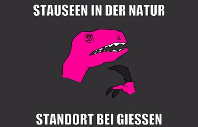 stauseen