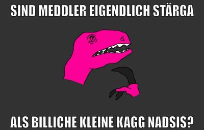 sind meddler eigendlich STÄRGA ALS BILLICHE KLEINE KAGG NADSIS?