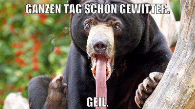 Ganzen Tag schon Gewitter. Geil.