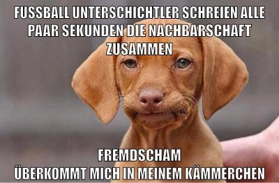 fußball unterschichtler schreien alle paar sekunden die nachbarschaft zusammen fremdscham überkommt mich in meinem kämmerchen