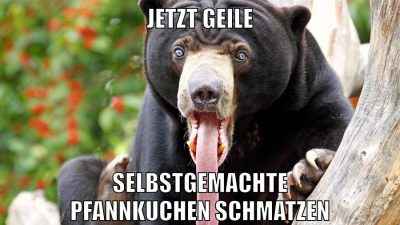 marina und pr0gramm stinken