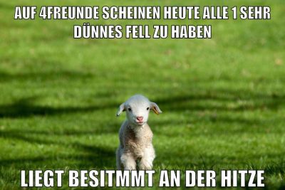 auf 4freunde scheinen heute alle 1 sehr dünnes fell zu haben liegt besitmmt an der hitze