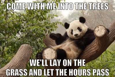 COME WITH ME INTO THE TREES WE'LL LAY ON THE GRASS AND LET THE HOURS PASS