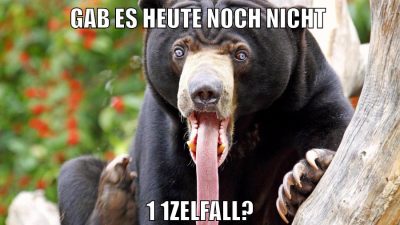 GAB ES HEUTE NOCH NICHT 1 1ZELFALL?