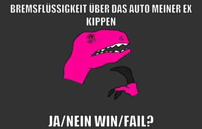 BREMSFLÜSSIGKEIT ÜBER DAS AUTO MEINER EX KIPPEN JA/NEIN WIN/FAIL?