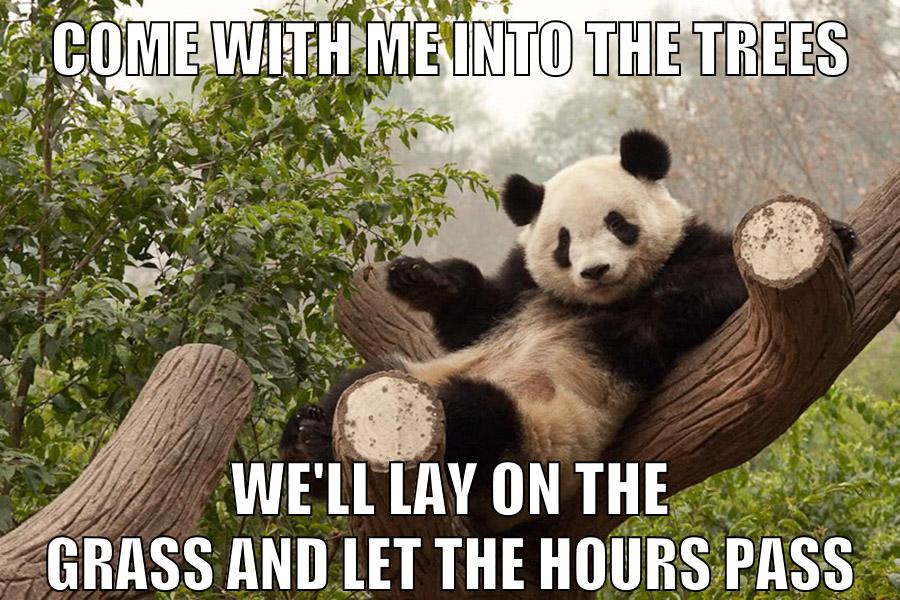 COME WITH ME INTO THE TREES WE'LL LAY ON THE GRASS AND LET THE HOURS PASS