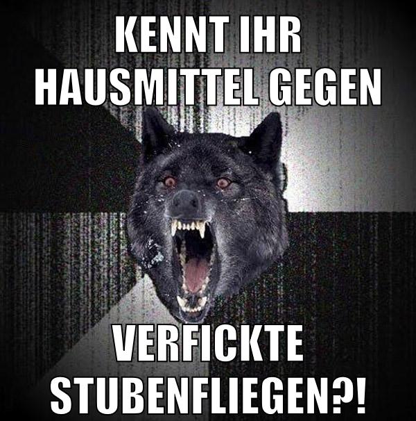 Kennt ihr Hausmittel gegen verfickte Stubenfliegen?!
