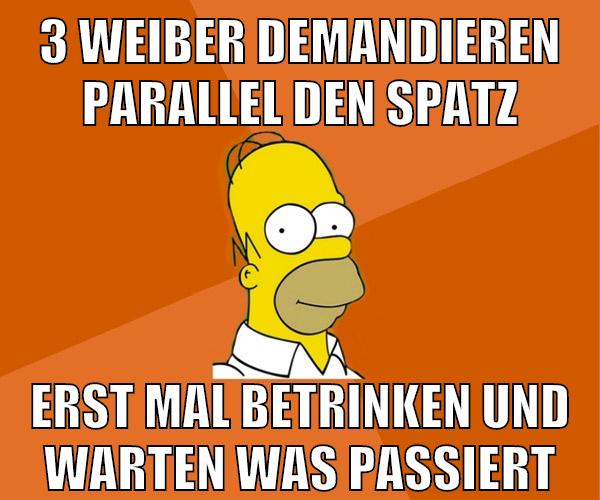 3 weiber demandieren parallel den spatz erst mal betrinken und warten was passiert