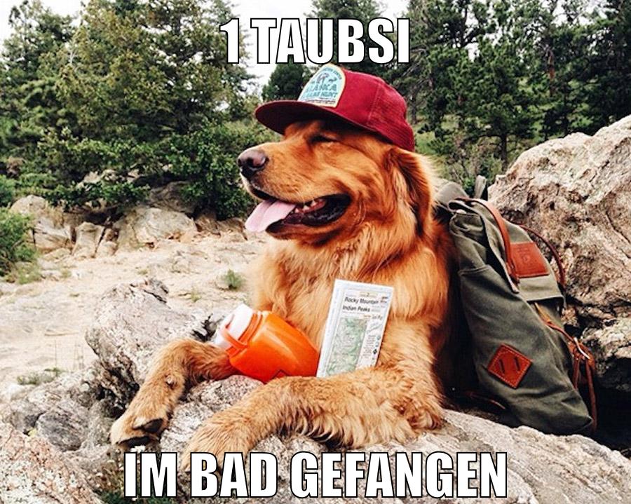 1 Taubsi im Bad gefangen