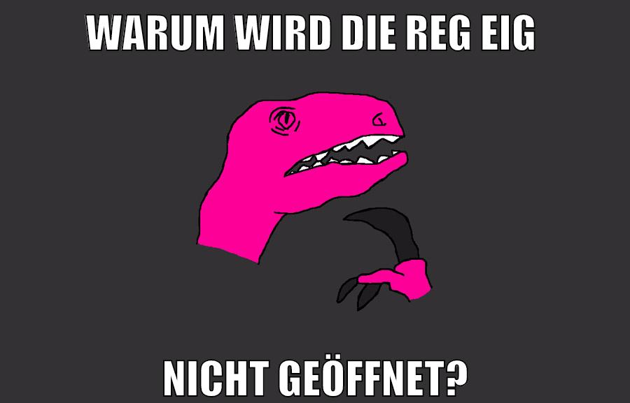 warum wird die reg eig nicht geöffnet?