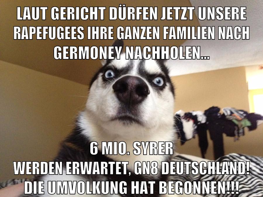 laut gericht dürfen jetzt unsere rapefugees ihre ganzen familien nach germoney nachholen... 6 mio. syrer werden erwartet, gn8 deutschland! die umvolkung hat begonnen!!!