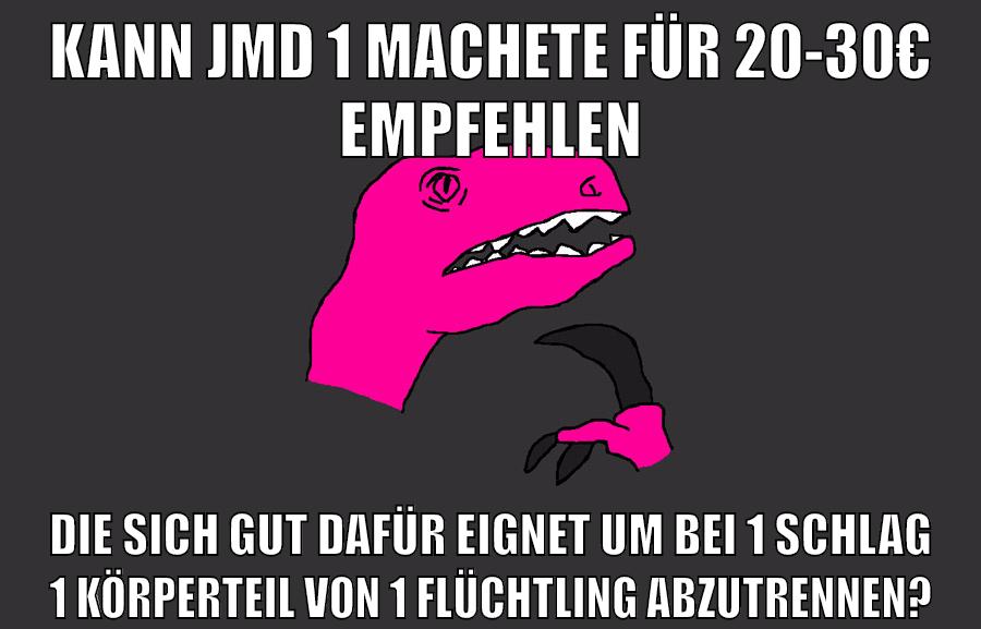 kann jmd 1 machete für 20-30€ empfehlen die sich gut dafür eignet um bei 1 schlag 1 körperteil von 1 flüchtling abzutrennen?