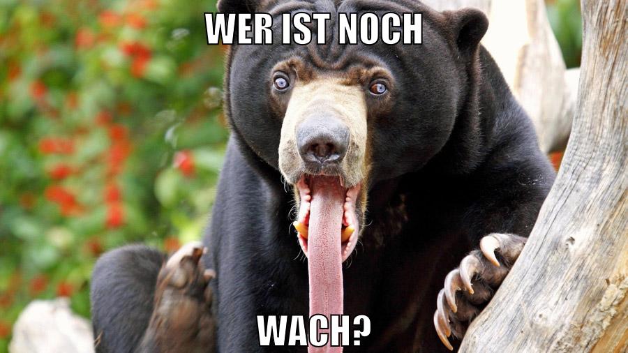 marina und pr0gramm stinken