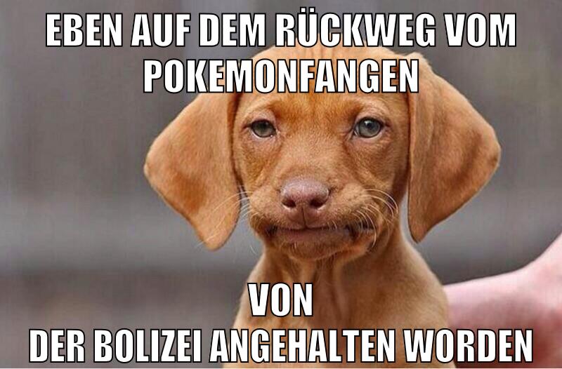 eben auf dem rückweg vom pokemonfangen von der bolizei angehalten worden