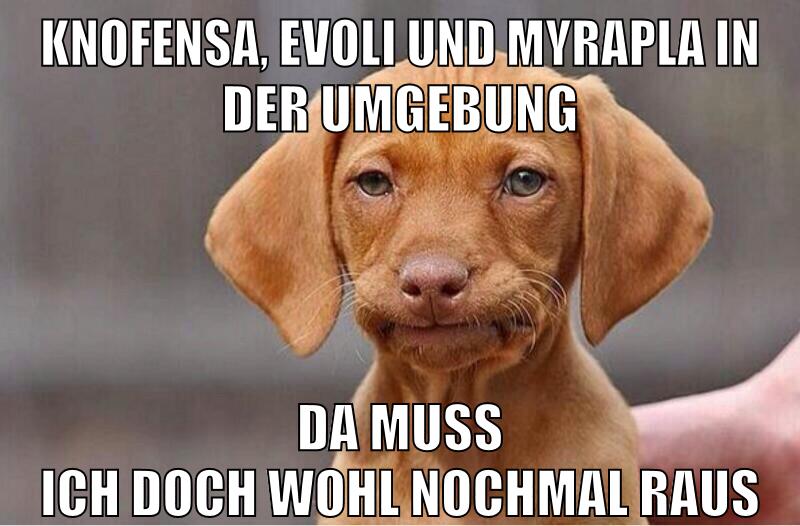 Knofensa, Evoli und Myrapla in der Umgebung Da muss ich doch wohl nochmal raus