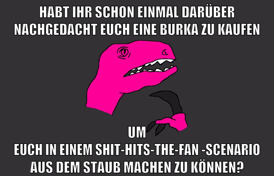 Habt ihr schon einmal darüber nachgedacht euch eine burka zu kaufen um euch in einem shit-hits-the-fan-scenario aus dem staub machen zu können?