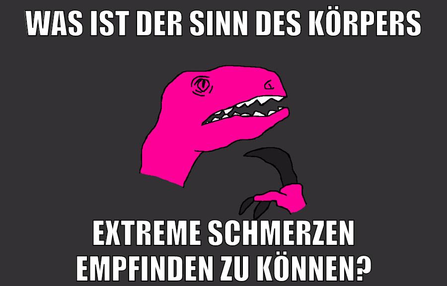 was ist der sinn des körpers extreme schmerzen empfinden zu können?