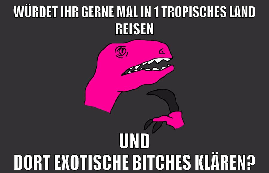 würdet ihr gerne mal in 1 tropisches land reisen und dort exotische bitches klären?