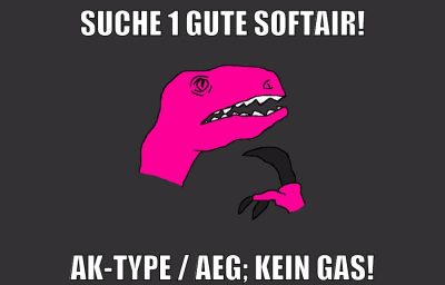 SUCHE 1 GUTE SOFTAIR! AK-Type / AEG; kein GAS!
