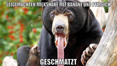 marina und pr0gramm stinken