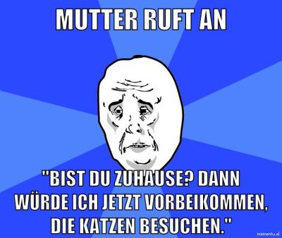 mutter ruft an "bist du zuhause? dann würde ich jetzt vorbeikommen, die katzen besuchen."