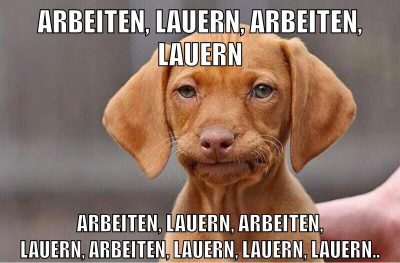 arbeiten, lauern, arbeiten, lauern arbeiten, lauern, arbeiten, lauern, arbeiten, lauern, lauern, lauern..
