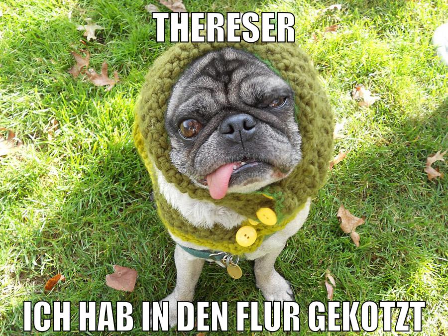 thereser ich hab in den flur gekotzt