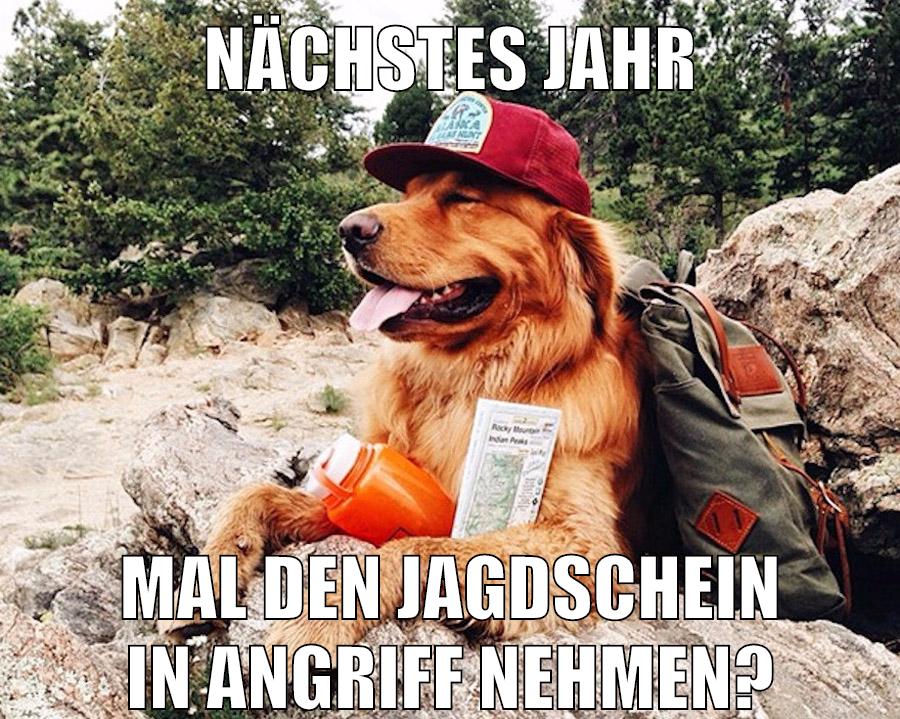 nächstes jahr mal den jagdschein in angriff nehmen?