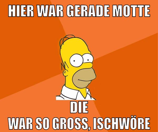 hier war gerade motte die war so groß, ischwöre