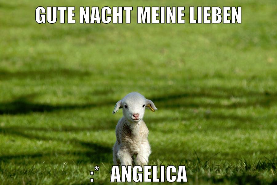 gute nacht meine lieben :*   Angelica