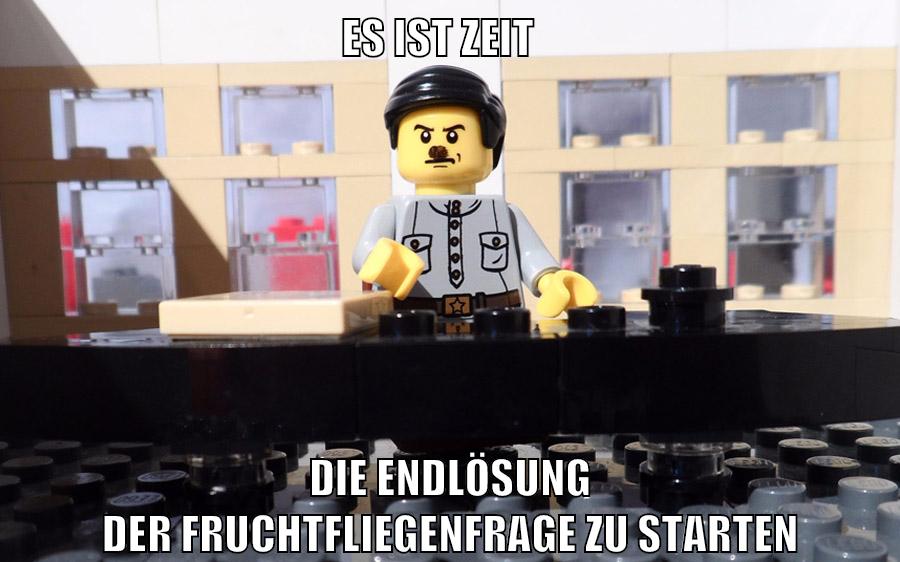 es ist zeit die endlösung der fruchtfliegenfrage zu starten