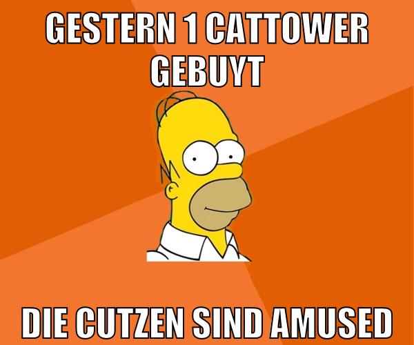 gestern 1 cattower gebuyt die cutzen sind amused