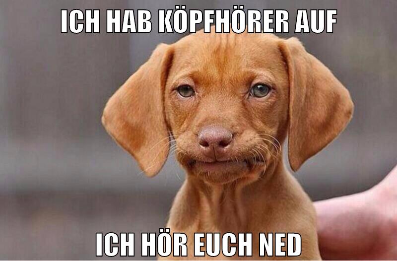 Ich hab Köpfhörer auf Ich hör euch ned