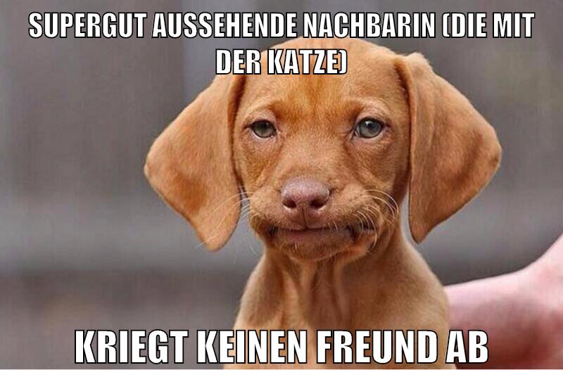supergut aussehende nachbarin (die mit der katze) kriegt keinen freund ab