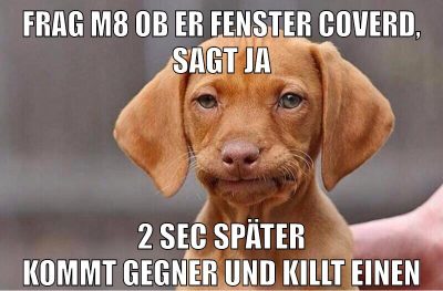 frag m8 ob er fenster coverd, sagt ja 2 sec später kommt gegner und killt einen