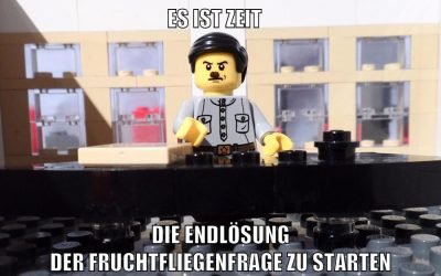 es ist zeit die endlösung der fruchtfliegenfrage zu starten
